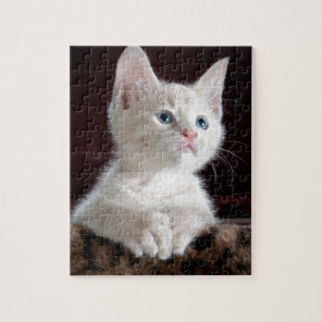 Super Cute White Kitten Jigsaw Puzzle