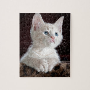 Super Cute White Kitten Jigsaw Puzzle