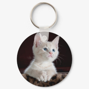 Super Cute White Kitten Keychain