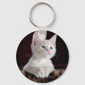 Super Cute White Kitten Keychain
