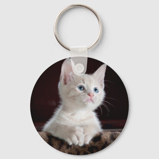 Super Cute White Kitten Keychain (Front)