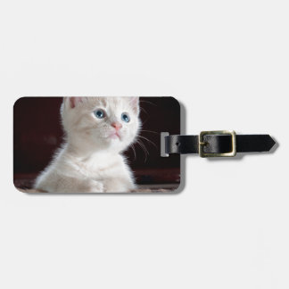 Super Cute White Kitten Luggage Tag