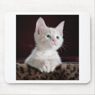 Super Cute White Kitten Mouse Pad