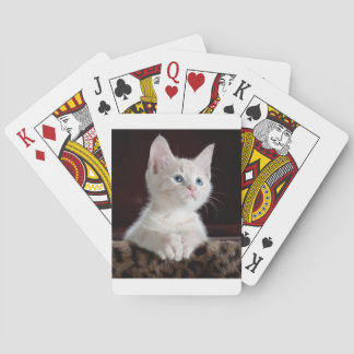 Super Cute White Kitten Poker Cards