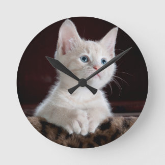 Super Cute White Kitten Round Clock