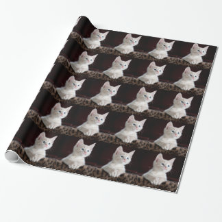 Super Cute White Kitten Wrapping Paper