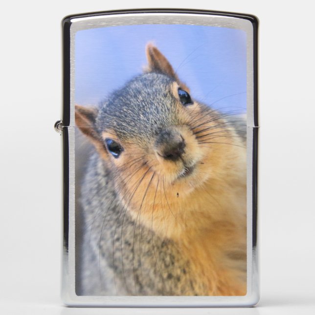 Super cute zippo lighter (Front)