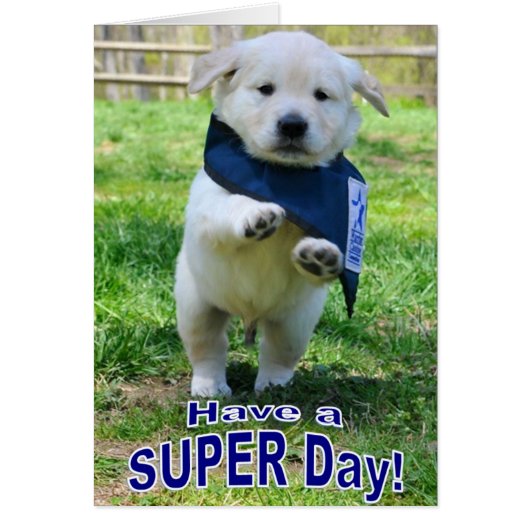 Super Day card (Front)