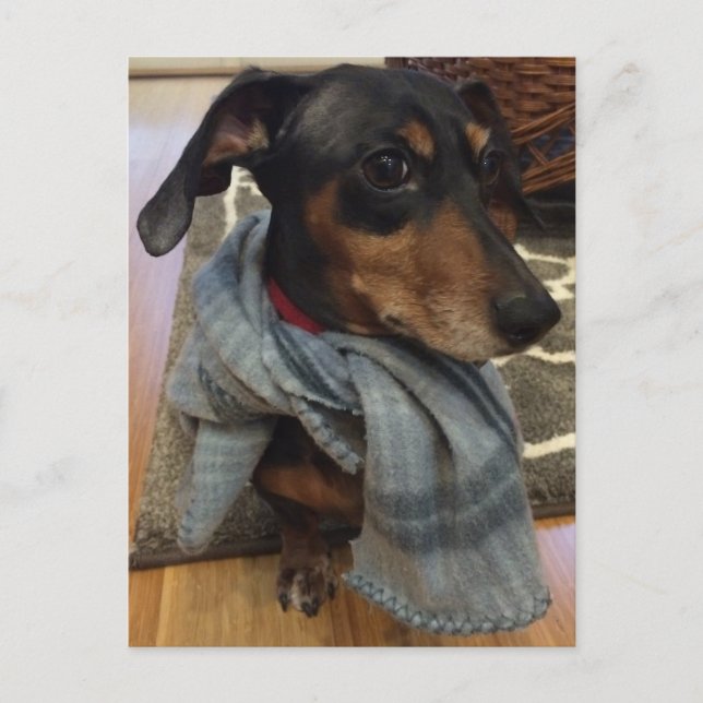 Super Dog! Postcard (Front)