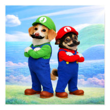 "Super Doggio Bro's"