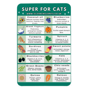 Super Foods for Cats Fridge Magnet