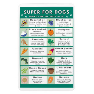 Super Foods for Dogs Fridge Magnet