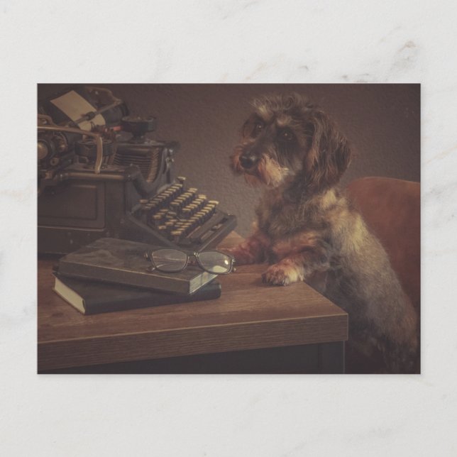 Super fun dachshund card (Front)