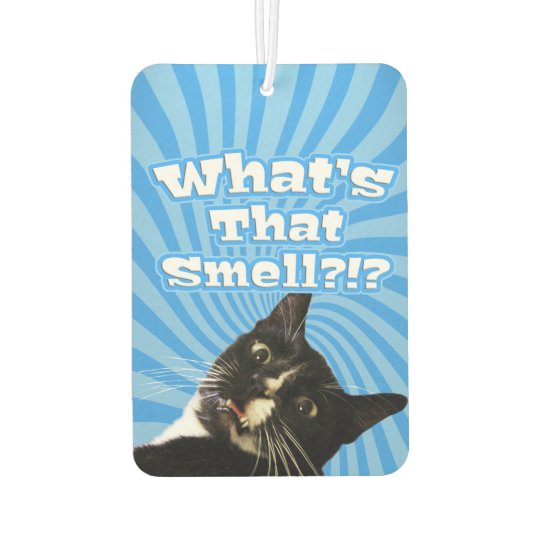 Super Funny Cat Car Air Freshener