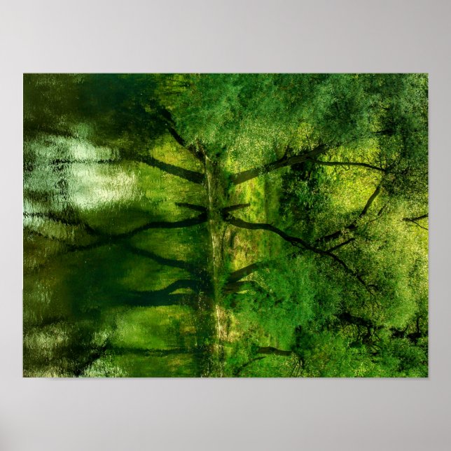 Super Green River Trees Reflection A3 Poster (Front)