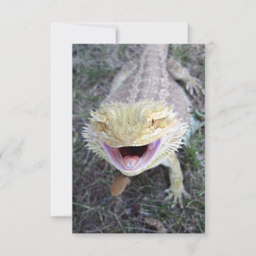 Super Happy Bearded Dragon Custom Invitations
