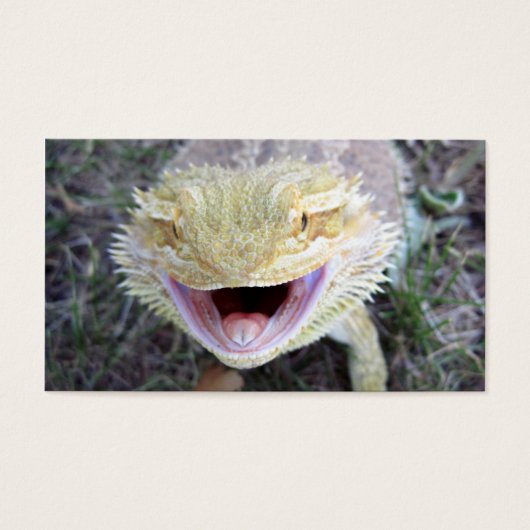 Super Happy Bearded Dragon (Front)
