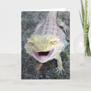 Super Happy Bearded Dragon Card