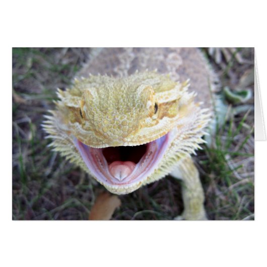 Super Happy Bearded Dragon Cards (Front Horizontal)