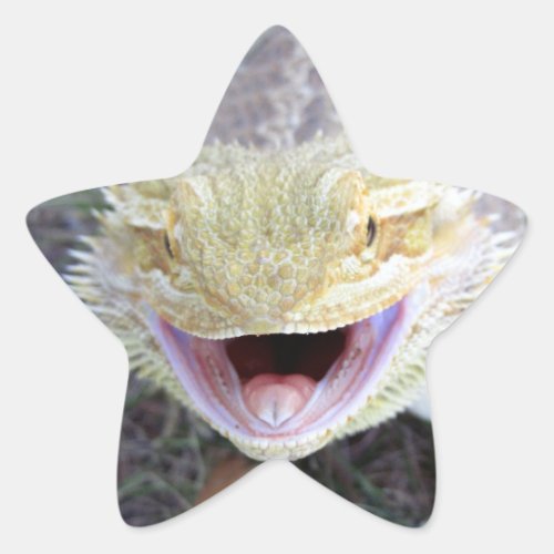 Super Happy Bearded Dragon Star Sticker