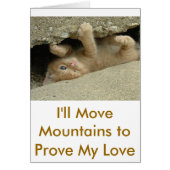 Super Hero Kitty Cat (Front)