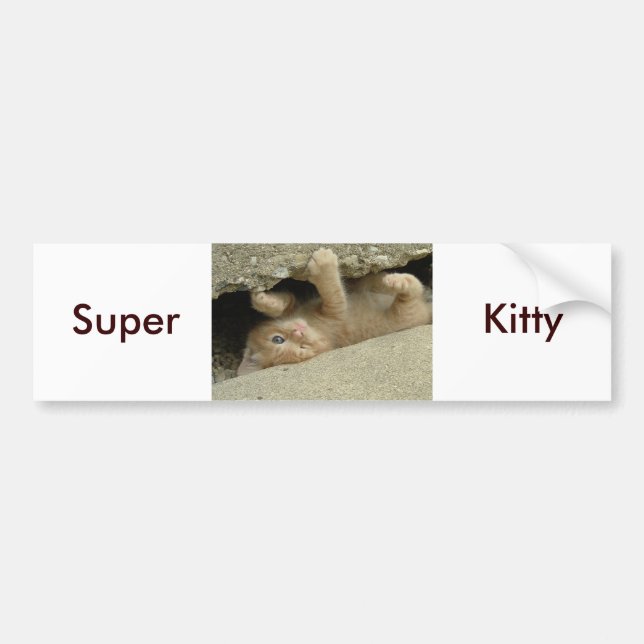 Super Hero Kitty Cat Bumper Sticker (Front)