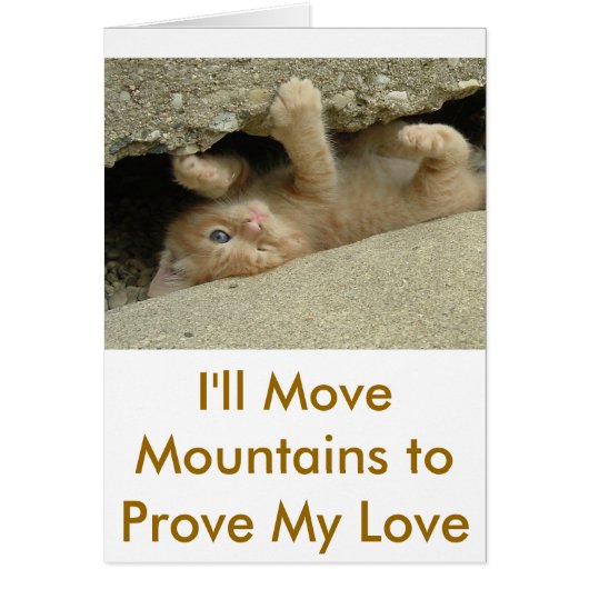 Super Hero Kitty Cat Cards (Front)