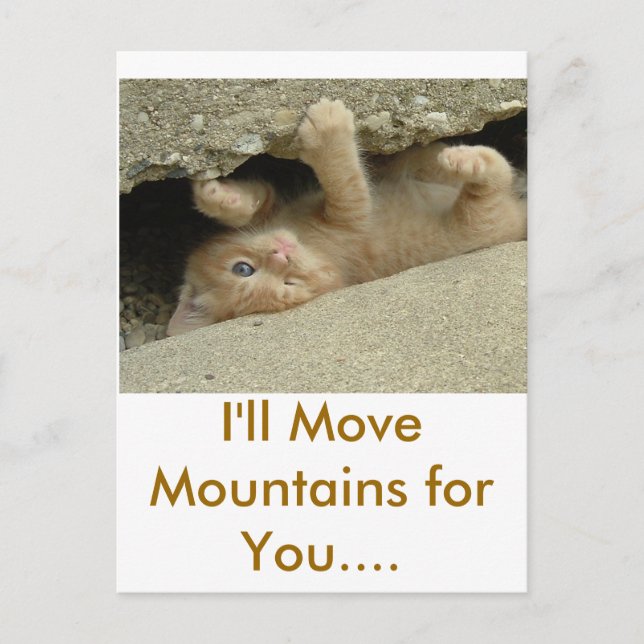 Super Hero Kitty Cat Postcard (Front)