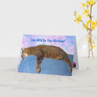 Super Lazy Party Cat Birthday Card | Zazzle