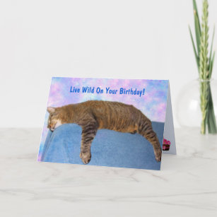 Super Lazy Party Cat Birthday Card