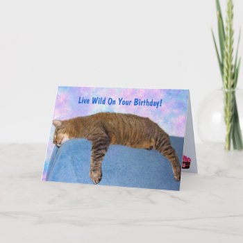 Super Lazy Party Cat Birthday Card by Therupieshop at Zazzle
