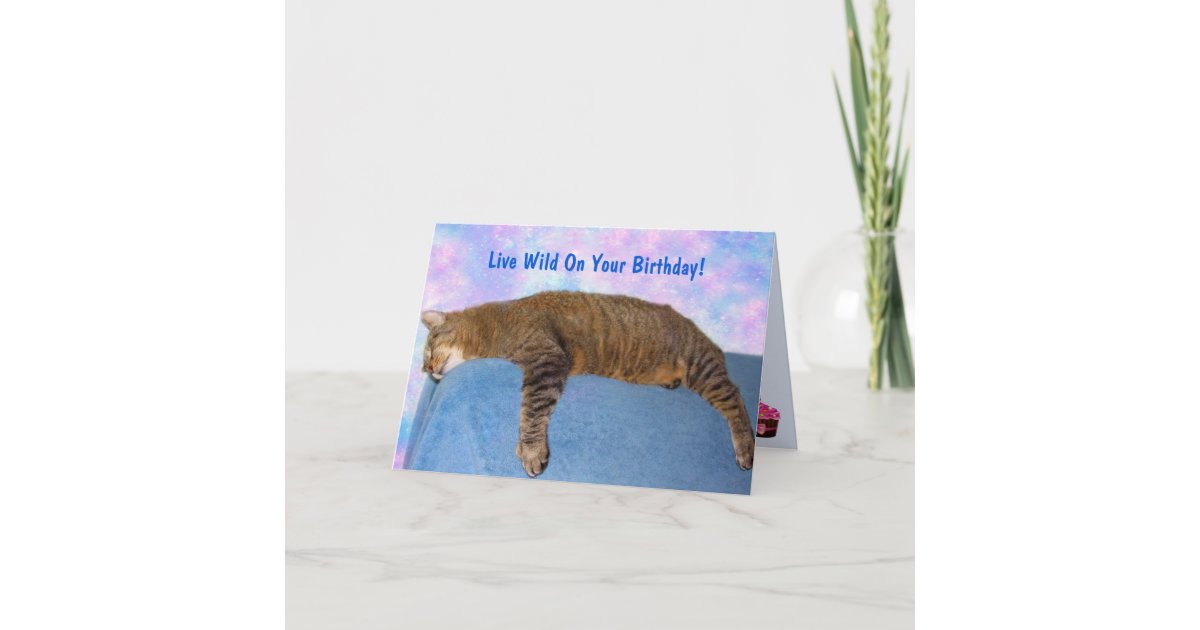 Super Lazy Party Cat Birthday Card | Zazzle