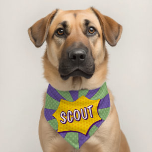 Super pet bandana collar