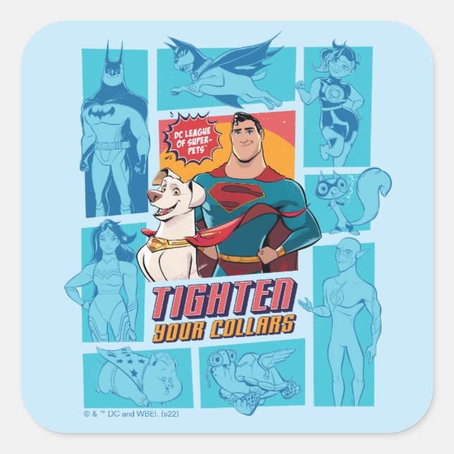 Super-Pets & Justice League - Tighten Your Collars Square Sticker (Front)