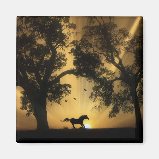 Super Pretty Galloping Free Horse Magnet (Front)