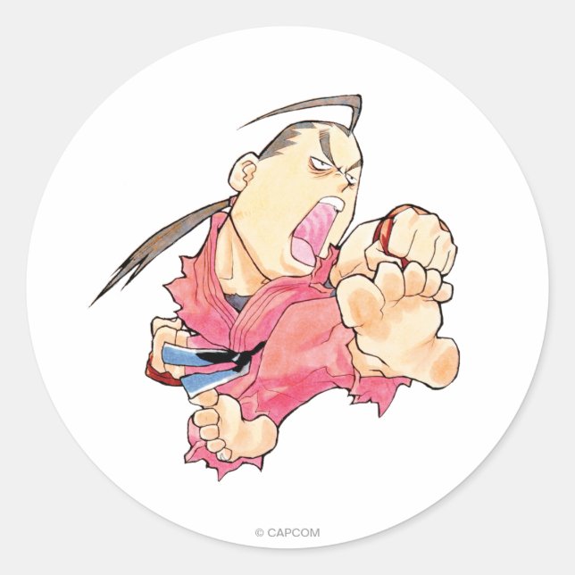 Super Puzzle Fighter II Turbo Dan 2 Classic Round Sticker (Front)