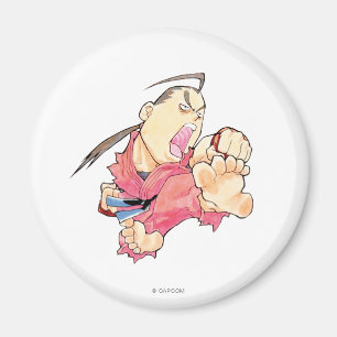 Super Puzzle Fighter II Turbo Dan 2 Magnet