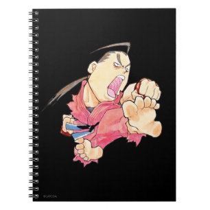 Super Puzzle Fighter II Turbo Dan 2 Notebook