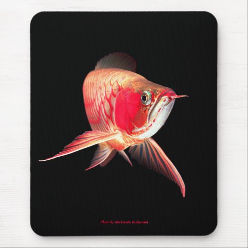 Super Red Arowana Mouse Pad