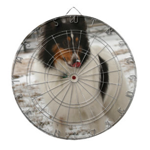 Super shelty dartboard with darts