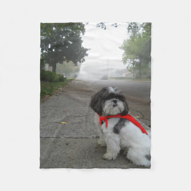 Elegant Shih Tzu Quilted Blanket NCU0DK448