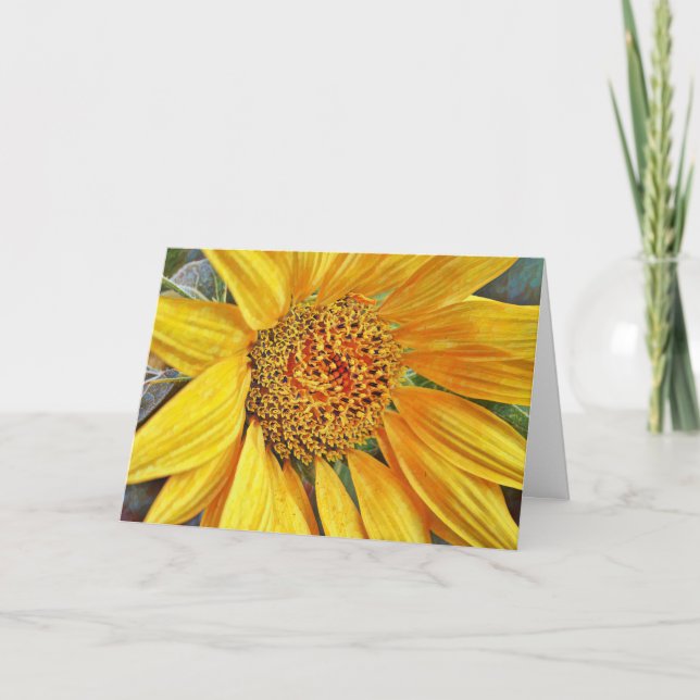 Super Sunflower Close Up Birthday Blessings Card (Front)