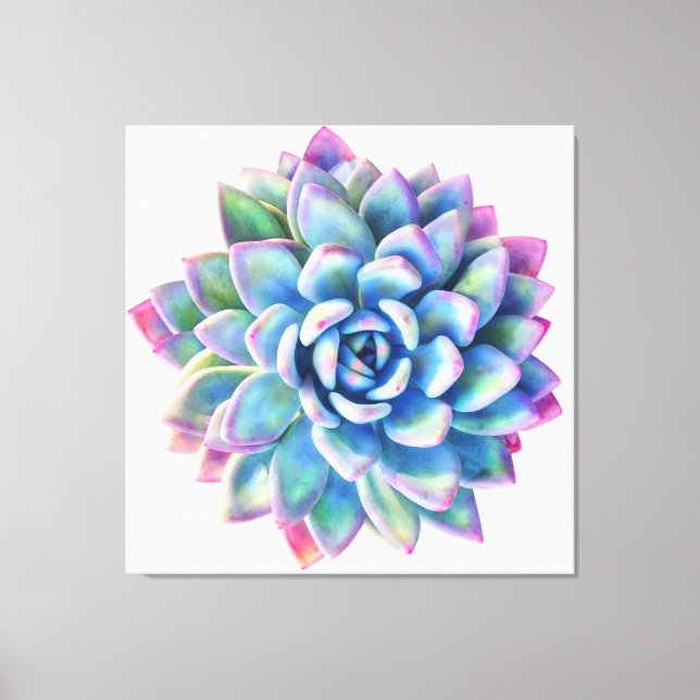 Super trendy extra large succulent wall art (Front)