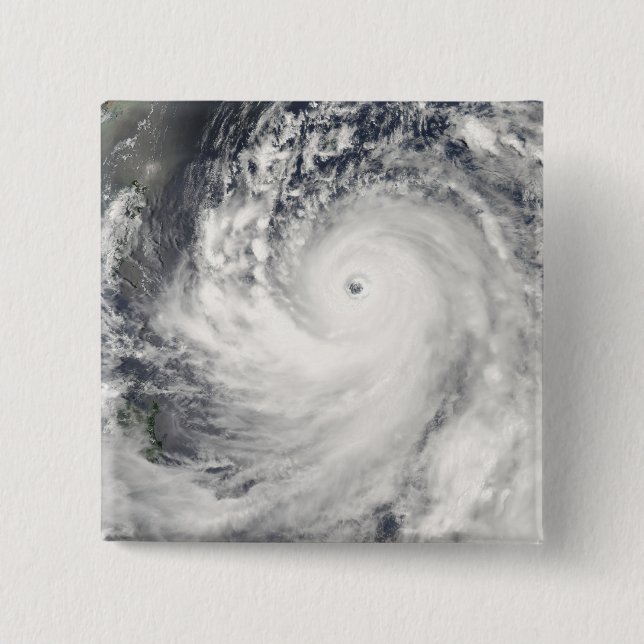 Super Typhoon Man-Yi Pinback Button (Front)
