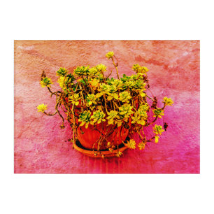 Super vibrant pink floral acrylic wall art panel