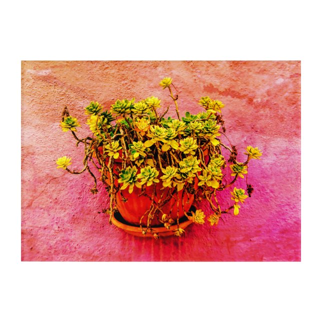 Super vibrant pink floral acrylic wall art panel (Front)