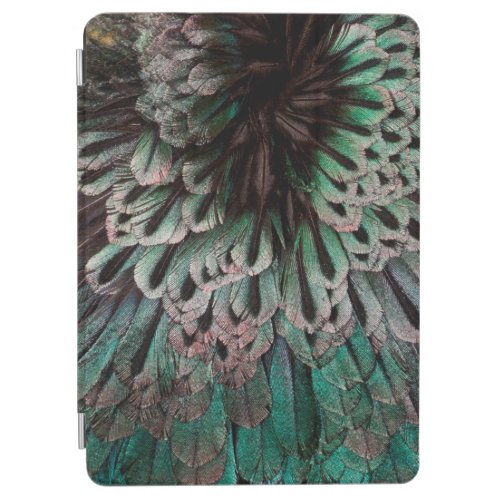 Superb Bird Of Paradise Feather Abstract iPad Air Cover