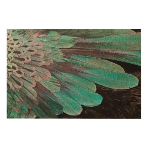 Superb Bird of Paradise feathers Wood Wall Decor