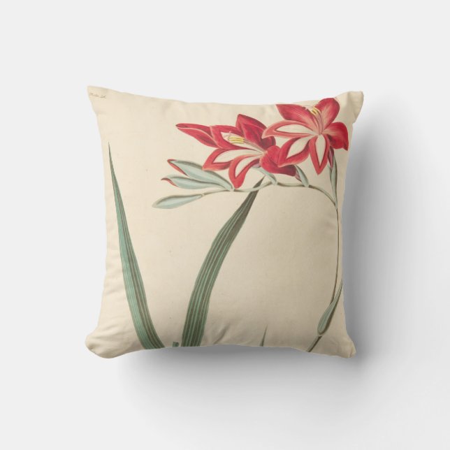 Superb Corn-Flag Throw Pillow (Front)