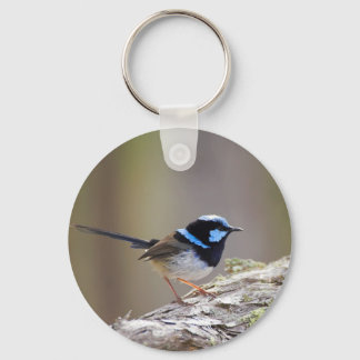 Superb Fairy-wren Keychain